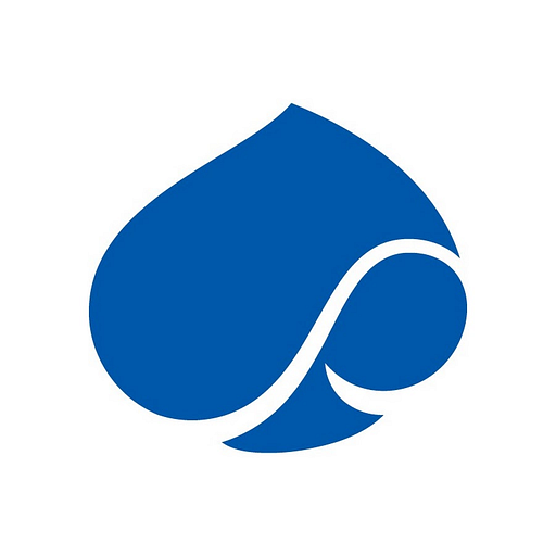 Capgemini Capgemini